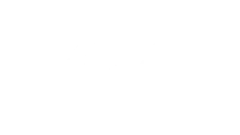 German Television Network Logo